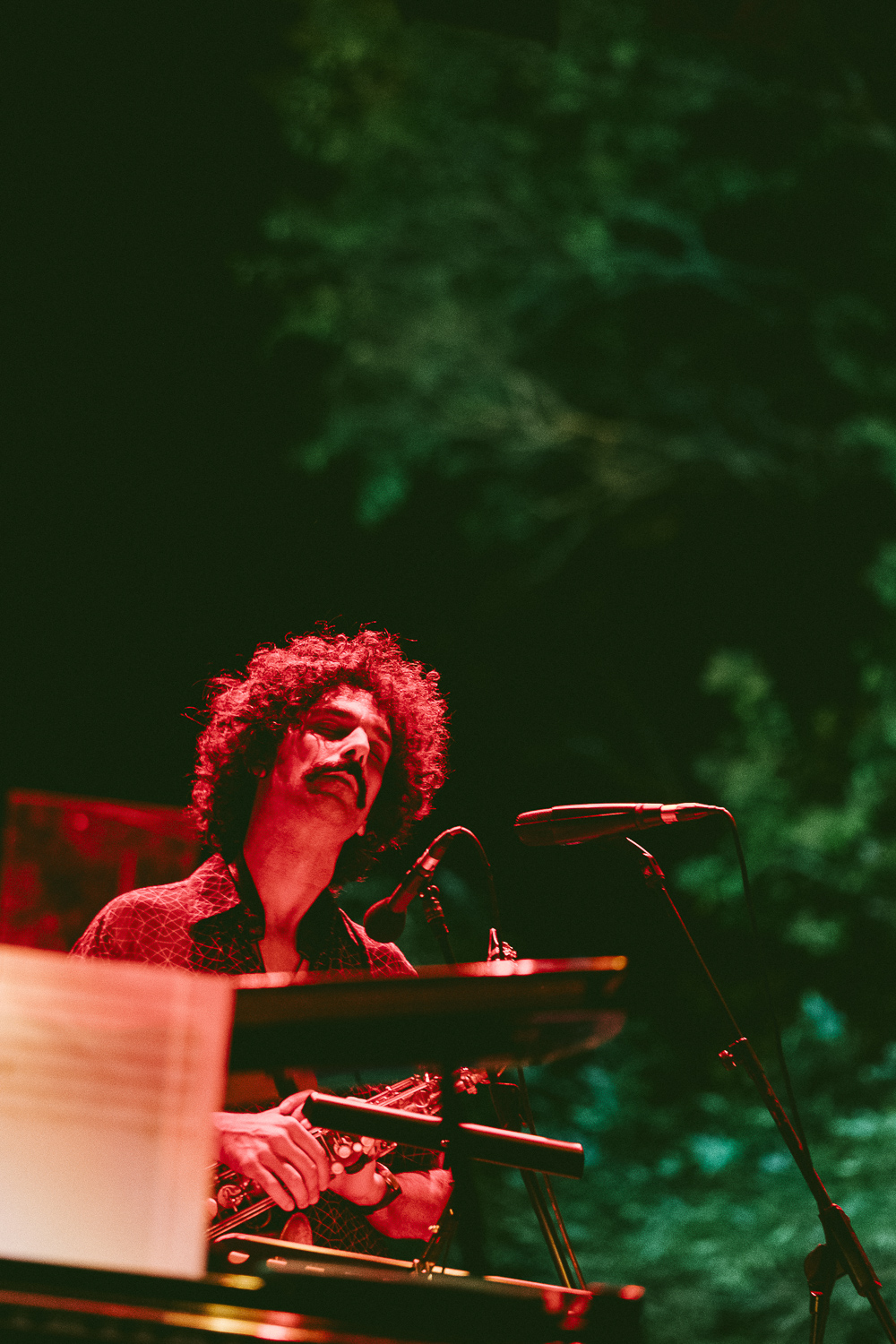 JP brandao ©Vera Marmelo